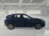  Ford  Kuga FORD  / 2019 / 5P / SUV 1.5 ECOBLUE 120CV 2WD TITANIUM BUS. AUTO #7