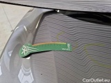  Nissan  Qashqai NISSAN  / 2017 / 5P / CROSSOVER 1.5 DCI 115 BUSINESS DCT #33