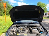  Volkswagen  Polo Life 1.0TSi 95pk/cv 5p DSG7 Automatic Petrol  15 #17