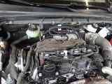  Ford  Focus Turnier 1.5 EcoBlue Start-Stopp-System Aut. TITANIUM Automatic Diesel  21 #37
