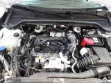  Ford  Focus 1.5 EcoBlue Start-Stopp-System Aut. Titanium Automatic Diesel  44 #14