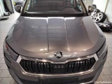  Skoda  Karoq 1.5 TSI ACT Ambition Manual Petrol  49 #33