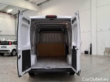 Ducato