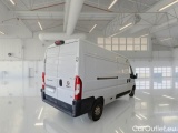 Ducato