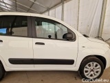  Fiat  Panda FIAT  / 2012 / 5P / BERLINA 900CC 85CV VAN EU6D 4X4 2P.POP #32