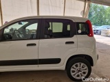  Fiat  Panda FIAT  / 2012 / 5P / BERLINA 900CC 85CV VAN EU6D 4X4 2P.POP #45