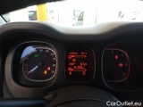  Fiat  Panda FIAT  VAN 2012 1.3 MJT 75CV EU5+VAN CLIMBING 4X4 2P.POP #4