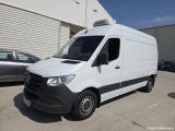 Sprinter