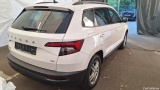  Skoda  Karoq  Ambition 4x4 2.0 TDI 110KW AT7 E6dT #19