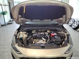  Ford  Focus 1.5 EcoBlue Start-Stopp-System Aut. TITANIUM X Automatic Diesel  62 #23
