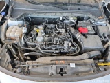  Ford  Focus 1.0 FLEXIFUEL 125 S&S MHEV POWERSHIFT TITANIUM X BUSINESS  258 #39
