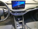  Skoda  ENYAQ iV 80 - Automatic Electric  110 #20