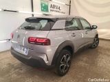 C4 Cactus