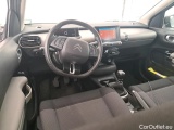C4 Cactus