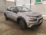 C4 Cactus