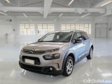 C4 Cactus