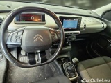 C4 Cactus