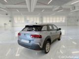 C4 Cactus