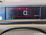 C4 Cactus