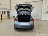 C4 Cactus