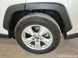  Toyota  RAV4 TOYOTA  / 2018 / 5P / CROSSOVER 2.5 HV 218CV E-CVT BUSINESS 2WD #19