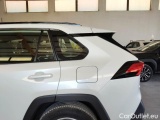  Toyota  RAV4 TOYOTA  / 2018 / 5P / CROSSOVER 2.5 HV 218CV E-CVT BUSINESS 2WD #52