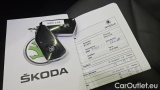  Skoda  ENYAQ 80 #12
