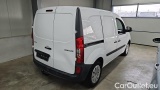 Citan