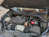  Ford  Focus  Turnier Titanium 2.0 EcoBlue 110KW AT8 E6dT #7