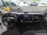 Ducato