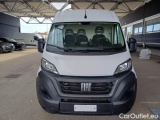 Ducato
