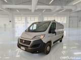 Ducato