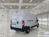 Ducato