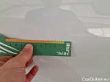  Renault  EXPRESS RENAULT  / 2021 / 4P / VETT. FURGONATA BLUE DCI 75 VAN #35