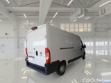 Ducato