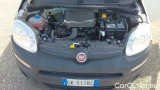  Fiat  Panda 1.0 70cv Hybrid Euro 6d Van 2 p. POP #15