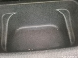  Tesla  Model Y TESLA  / 2021 / 5P / SUV RWD #12