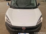  Fiat  Doblo FIAT DOBLÒ CARGO / 2014 / 4P / VETT. FURGONATA CH1 BUSINESS 1.6 MJET 105CV E6D-F SeS #24
