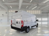 Ducato
