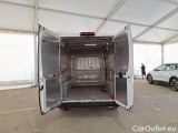 Ducato