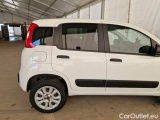  Fiat  Panda FIAT  / 2012 / 5P / BERLINA 900CC 85CV VAN EU6D 4X4 2P.POP #36
