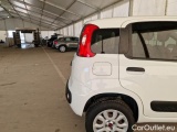  Fiat  Panda FIAT  / 2012 / 5P / BERLINA 900CC 85CV VAN EU6D 4X4 2P.POP #40