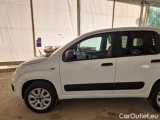  Fiat  Panda FIAT  / 2012 / 5P / BERLINA 900CC 85CV VAN EU6D 4X4 2P.POP #49