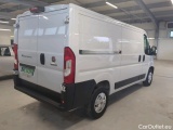 Ducato