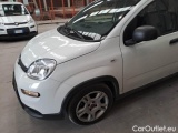  Fiat  Panda FIAT  / 2011 / 5P / BERLINA 1.0 FIREFLY 70CV SeS HYBRID #36
