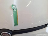  Fiat  Panda FIAT  / 2011 / 5P / BERLINA 1.3 MJT 95CV SeS E6 4X4 #37