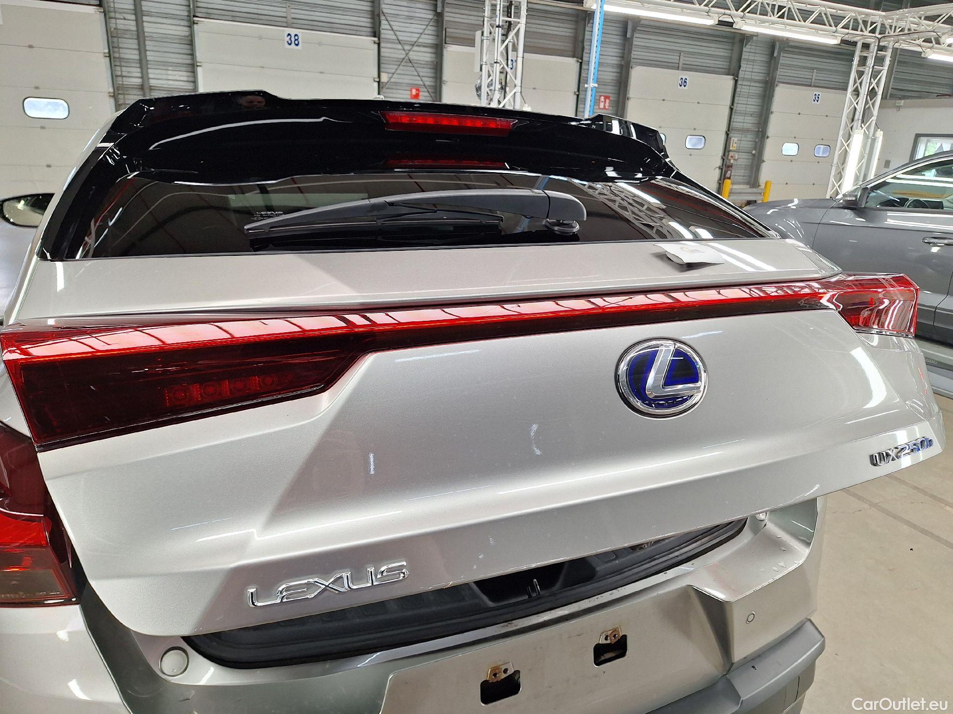  Lexus  UX Lexus,  '18, Lexus  2.0L 250H 4x4 Privilege Line 5d #9