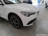  Alfa Romeo   STELVIO ALFA ROMEO / 2017 / 5P / SUV 2.2 TURBO DIESEL 210CV TI AT8 Q4 #51