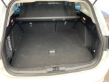  Ford  Focus  Turnier Cool & Connect 1.5 EcoBlue 88KW AT8 E6dT #18