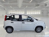  Fiat  Panda FIAT  / 2011 / 5P / BERLINA 1.0 70CV SeS HYBRID #7